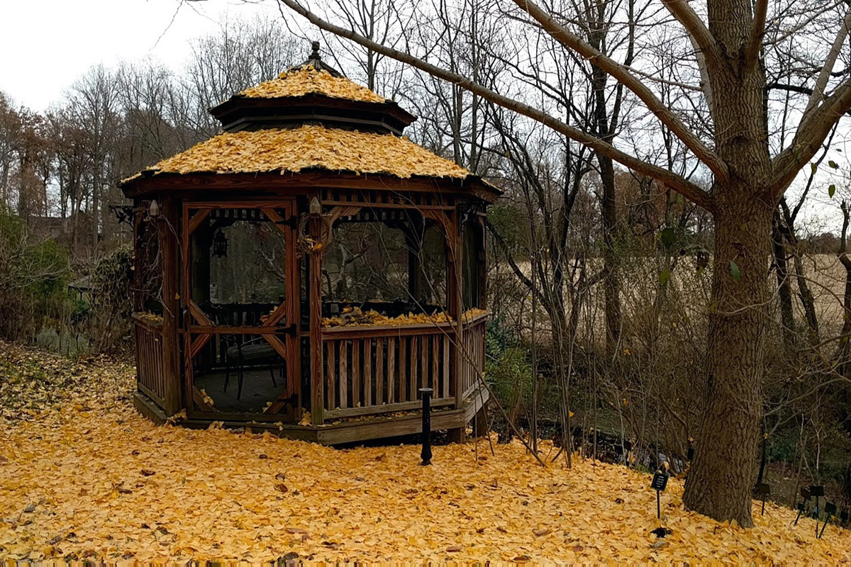 The gazebo at the James A. Duke Green Farmacy Garden in Fulton, Maryland. Photo by Betty Belanus
