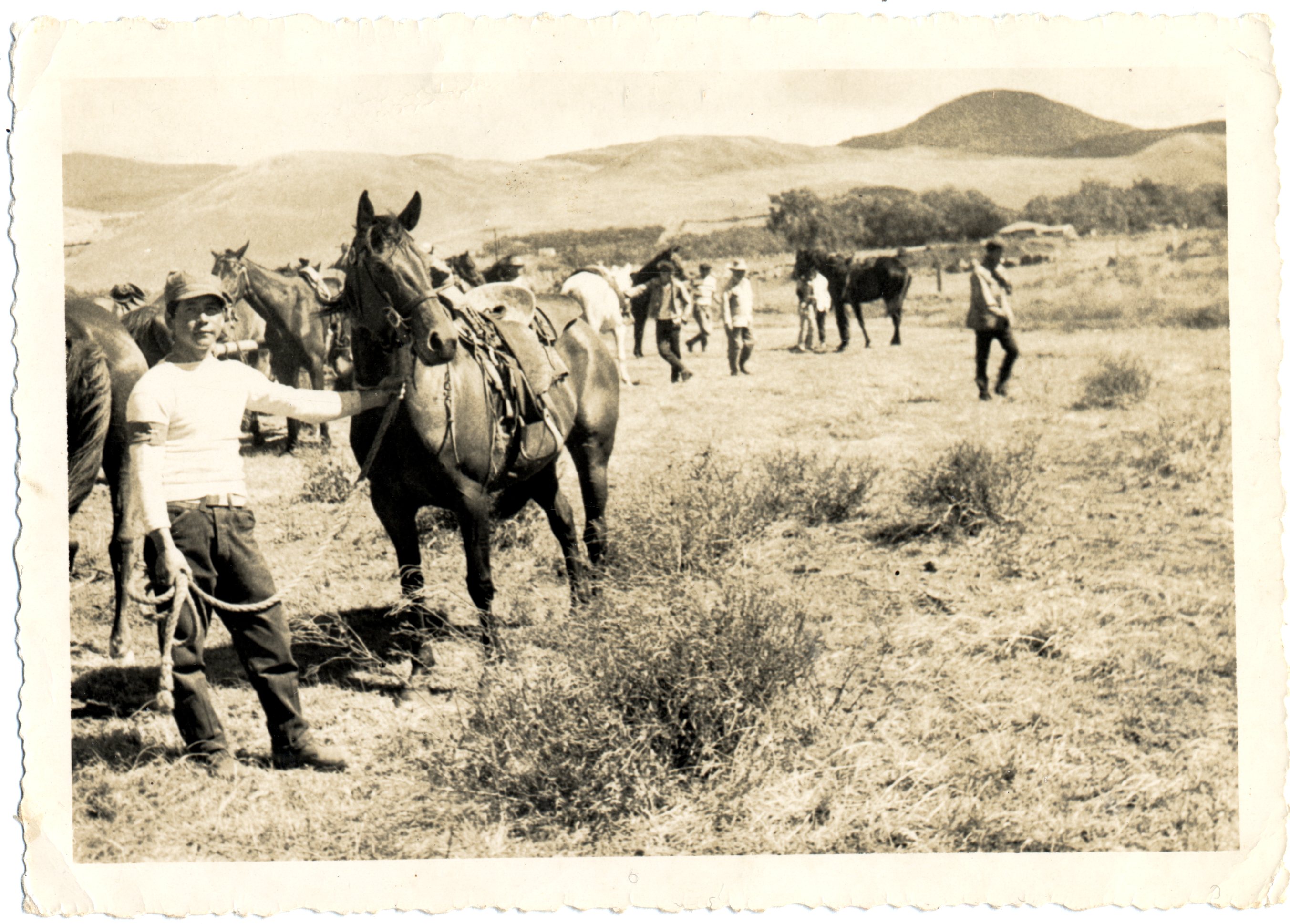 Hawaiian cowboys