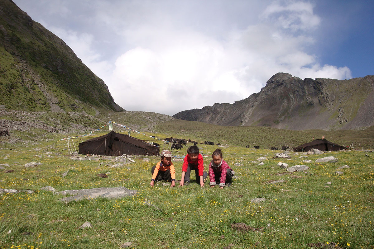 Two of my younger brothers with our neighbor’s daughter play in front of the black yak-hair tents.