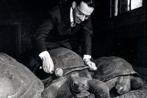 Arthur M. Greenhall Collection
