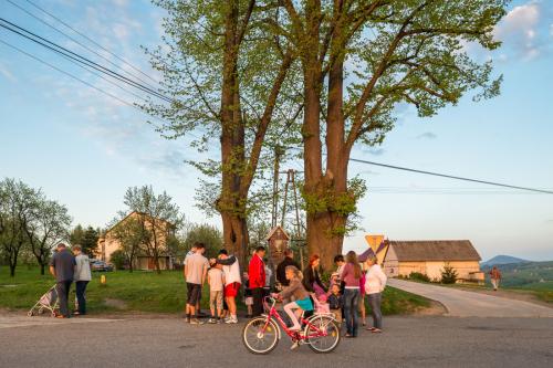 A group of people crowded around a small outdoor shrine, tucked between two trees. A girl bicycles past them.