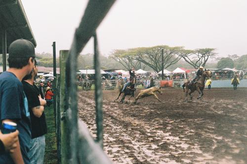 Hawaiian rodeo archives