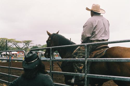 Hawaiian rodeo archives