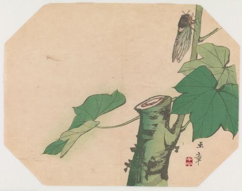 Color illustration on an octagonal canvas of a cicada climbing up a tree.