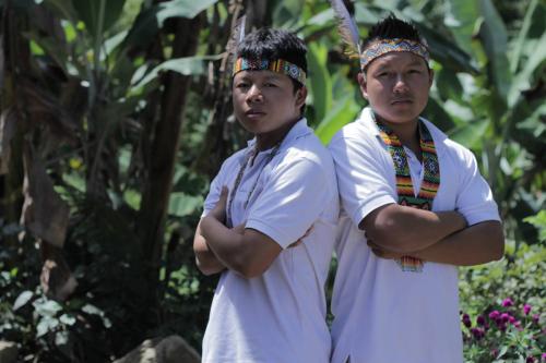 Linaje Originarios