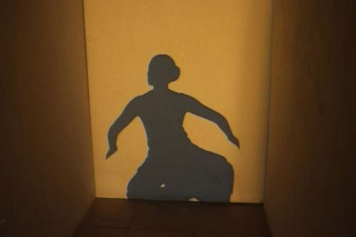 Silhouette of a female dancer against a yellow backdrop. 