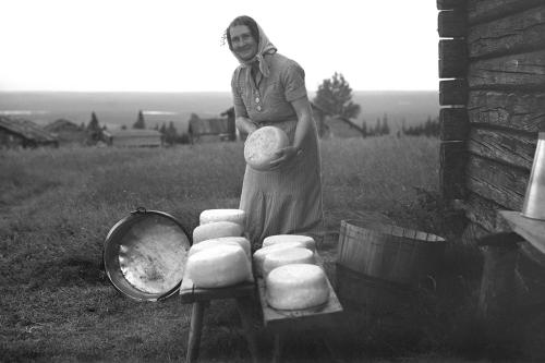 A woman stands among wheels of cheese set out to dry. Black and white photograph.