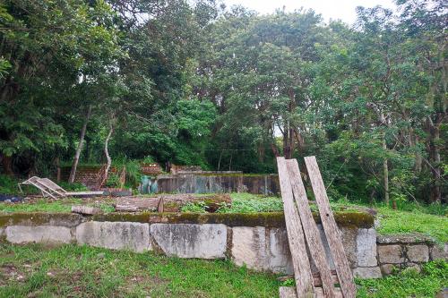 Among dense trees, the stone foundation of an old home, scattered with planks of wood, cut tree tunks, and scrap metal.