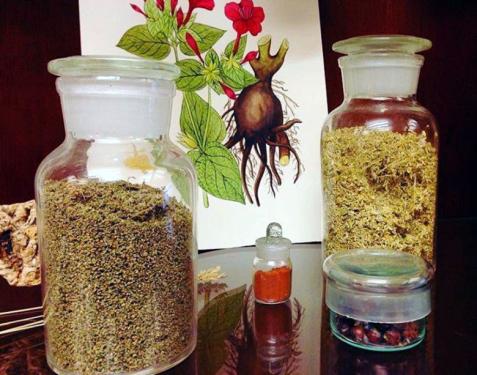 Sahakyan&rsquo;s private collection of botanical illustrations and pigments