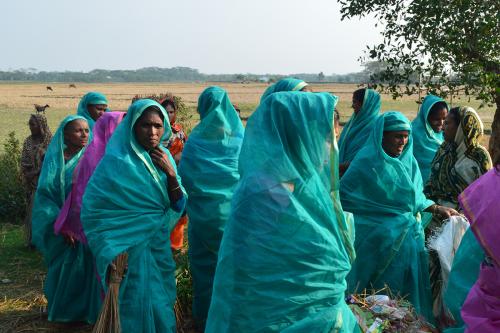 Bangladesh saris