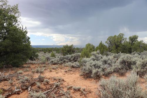Bears Ears
