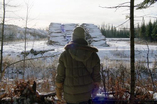 From behind, a woman in heavy down jacket faces a large pile of trees cleared and cut for lumber in the snow.