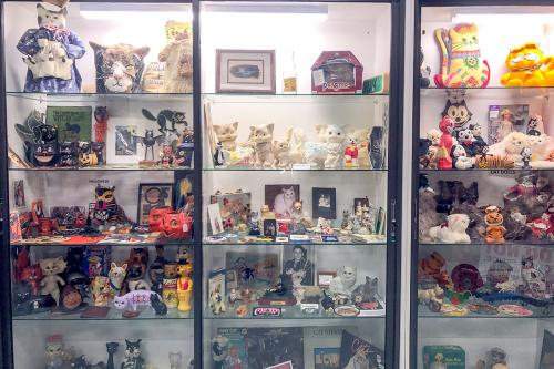 Harold Sims at the American Museum of the House Cat