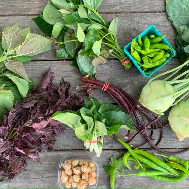 A spread of vegetables on a wooden table from overhead: leafy greens and purples, green peppers, orange-pink ground cherries and light green bulbous roots.