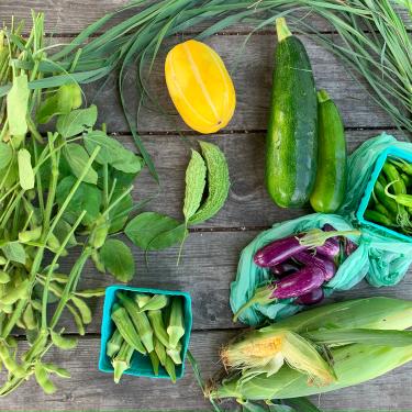A spread of vegetables on a wooden table from overhead: leafy greens, green and yellow gourds, small purple eggplants, and corn cobs. 