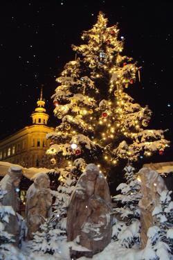 Towering Christmas tree lit up, behind snow-covered angel statues.