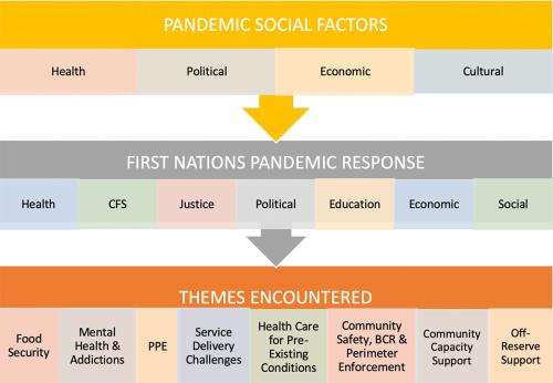 Flow chart showing various Pandemic Social Factors under the categories Health, Political, Economic, Cultural.