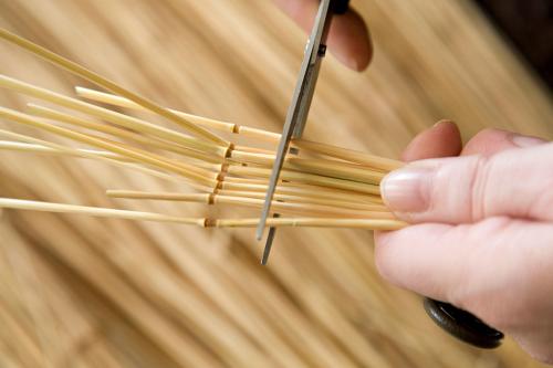 Closeup on a hand holding a few pieces of dried rye straw, with the natural notches in their stems aligned. The other hand holds a pair of scissors, about to cut the straw right below the nothces.