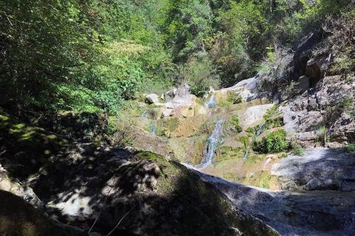 Waterfall at Falgars Creek