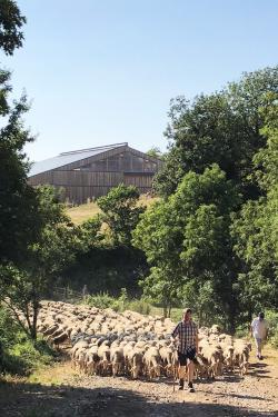 Ferme Seguin