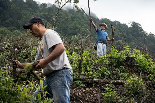 Two men, one with a machete, appear to clear debris in a forest.