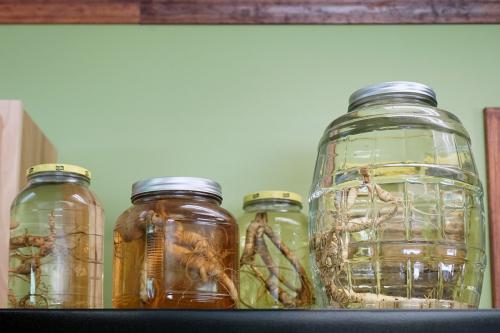 Ginseng root