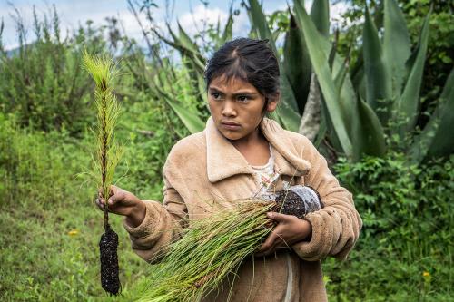 A young girl holds plant saplings in both hands.