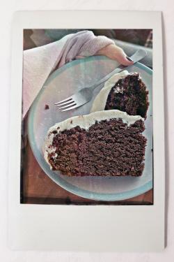 A printed Polaroid photo of a plate with two slices of dark brown cake with thick white frosting on top.