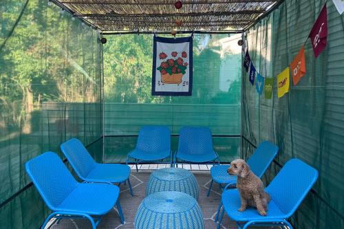 Interior of a temporary structure with green translucent walls, six blue chairs arranged around blue wicker ottomans, and rainbow flags and a flower tapestry hung on the walls.