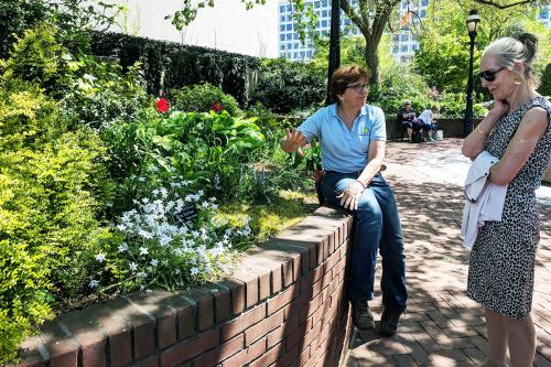 Janet Draper in the Mary Livingston Ripley Garden, Smithsonian