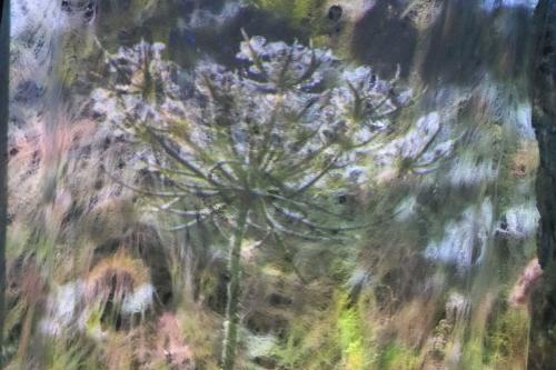 Close-up on the textile installation, clearing showing the projection of a purple flower.