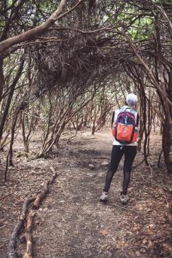 A person wearing bright orange and purple backpack, vest, black leggings, and hiking shoes stands under an archway of bare shrubs on a dirt trail.