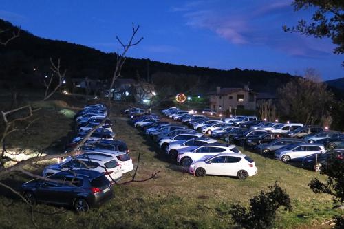 Rows of cars parked on a grassy field at dusk.