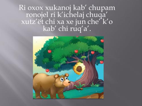 A cartoon of a bear staring at a honeycomb in a tree with Kaqchikel text.
