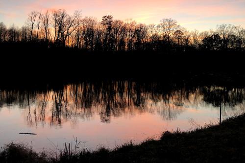 A pond at sunset, reflecting vivid pink and pale blue of the sky, silhouetting mostly bare trees in the distance.