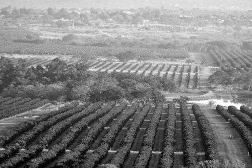 Letaba Estates