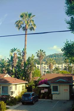 Photo from a second-story porch showing a small apartment parking lot in the foreground, looming palm trees, and a large apartment building and hill in the background.