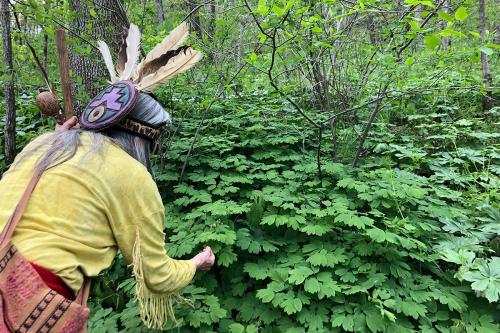 From behind, a woman wearing a feather headdress inspects green leaves on a shrub.