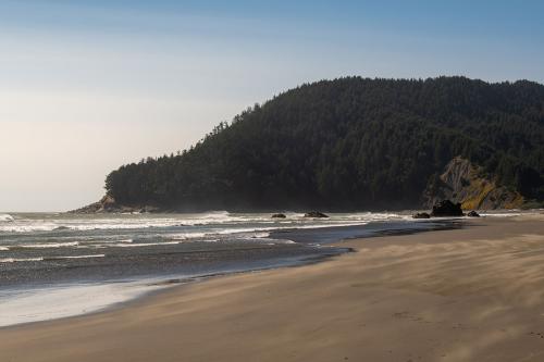 A flat sandy beach along the ocean in the foreground, and evergreen tree-covered hill in the background.