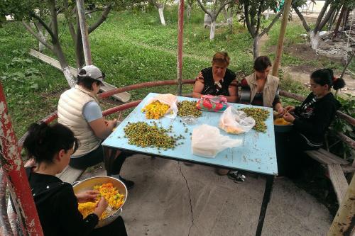 Nairian workers