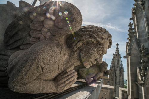 A carved stone angel, hands folded in prayer, seems to overlook the National Cathedral froma high perch. The angel’s wings are partly obscured by lens flare from the sun.
