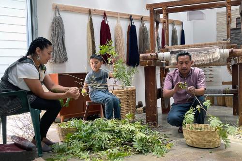 A man, woman, and child sit in a studio with skeins of dyed yarn hanging on the wall. In front of them, and in their hands, are small branches of a plant. They are pulling off its green leaves.