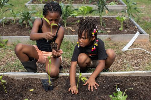 Two young kids with braids and locs kneel at the edge of a garden bed. One holds up a seedling, touching the clumps of roots with one hand.