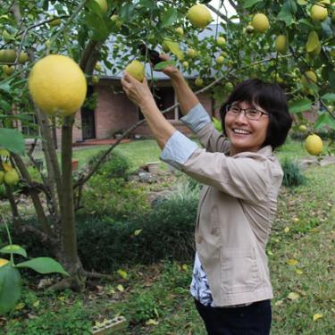 An older woman smiles as she picks lemons from a tree.