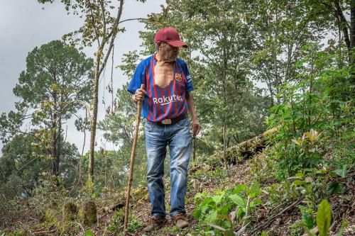 A man in a blue and red Rakuten jersey, the collar cut to reveal his chest, walks along a hillside, walking stick in hand.