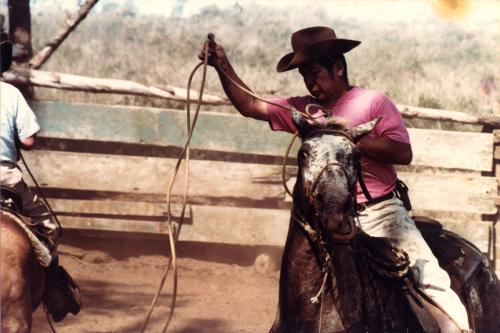 Hawaiian rodeo