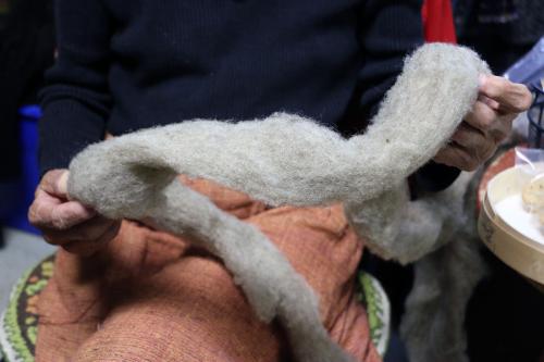 Close-up on a pair of hands holding up a piece of unspun gray wool.