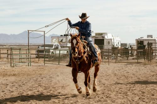The man on horseback rides through a dirt pen, swinging a lasso over one shoulder. More horses and their trailers are in the background.