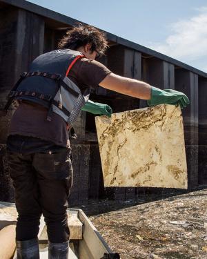 A person wearing a vest and rubber gloves stands in a small boat, holding up a sheet of paper over the water. The paper is imprinted with the wavy greenish  brown pollution on the surface of the water.
