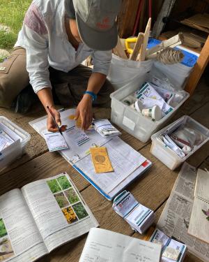 A person crouches on a wooden floor, writing on seed packets and spreadsheets, with books of plants opened around them.
